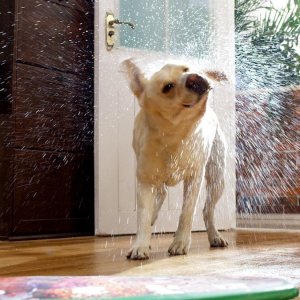 Pacific – vinylová podlaha